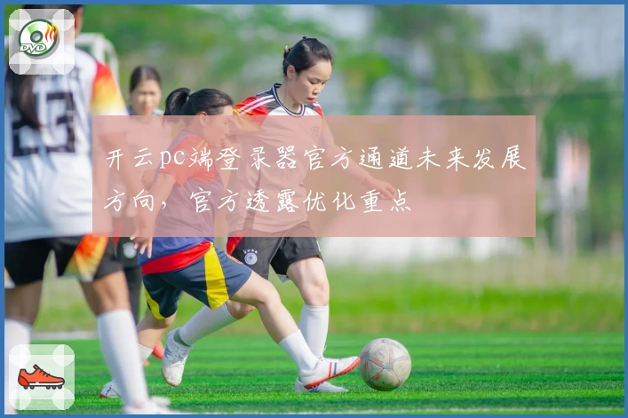 开云pc端登录器官方通道未来发展方向，官方透露优化重点