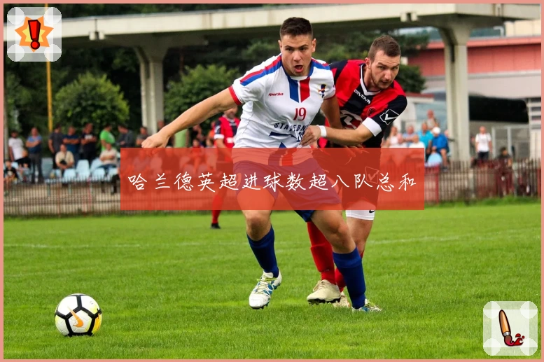 哈兰德英超进球数超八队总和