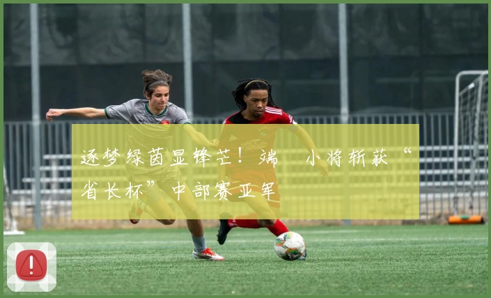 逐梦绿茵显锋芒!端棻小将斩获“省长杯”中部赛亚军